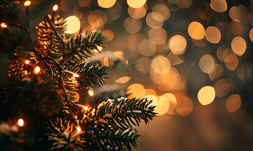 红色金色节日摄影照片_圣诞树灯光模糊背景