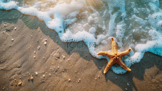 海浪海滩海星合成创意素材背景