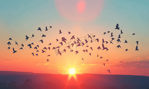 傍晚的天空摄影照片_日落时飞翔的鸟群自由概念