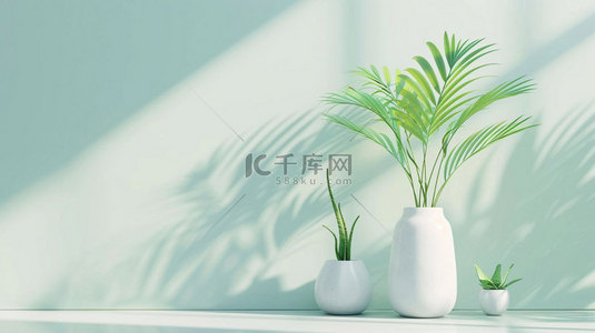 绿植日本吊钟背景图片_展台盆栽绿植合成创意素材背景