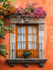 墨西哥克雷塔罗的乡村风格窗户