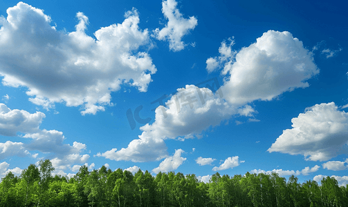 天白云摄影照片_森林上空的白云春天的天景