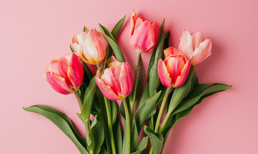 邀请函活动摄影照片_一束粉色郁金香花束带有复制空间花卉平躺