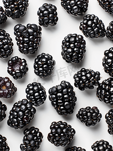 以上摄影照片_新鲜采摘的黑莓水果背景垂直框架