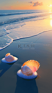 贝壳带珍珠背景图片_夏日海岸海滩波浪海螺贝壳海景背景16