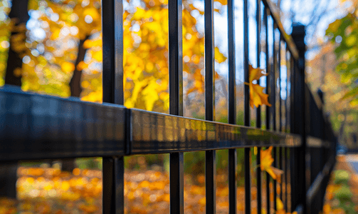 夏季绿叶边框摄影照片_黑色栅栏方形背景为树木和树叶