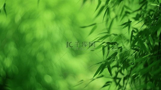 绿色清新竹子背景图片_绿色简约清新竹子竹林风景树叶的背景