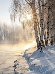 早晨有雾的冬季河边桦树水平框架之间阳光照耀