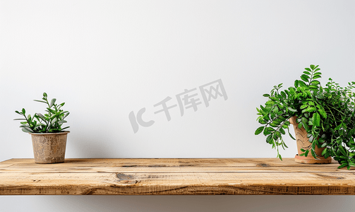 桌子家居摄影照片_白墙背景上的木桌绿色家居复古风格