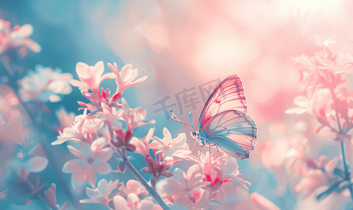 花卉自然复古粉彩背景上的梦幻蝴蝶