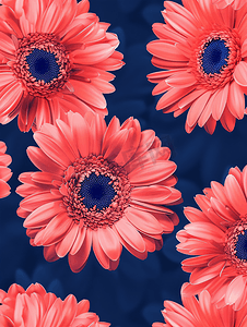 深蓝色背景上明亮的非洲菊花的无缝对角图案