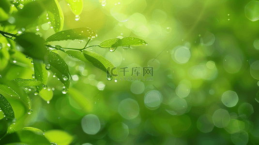 小清新绿色树叶背景图片_阳光照射下绿色树叶花朵的背景