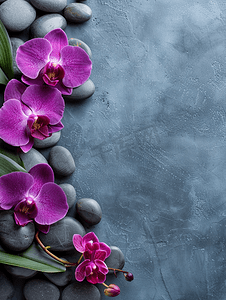 背景粉色边框摄影照片_灰色背景禅宗水疗美容设计复制空间上的兰花和石头花卉边框