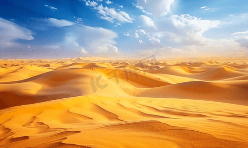 岩石海滩摄影照片_沙漠海滩沙丘在刮风的日子