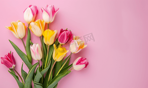 一束粉色郁金香花束带有复制空间花卉平躺
