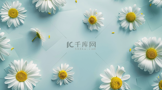 白色花瓣花瓣背景图片_蓝色场景白色小花整齐平铺的背景