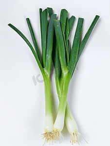 新鲜韭菜摄影照片_白色衬底上的新鲜绿色韭菜洋葱