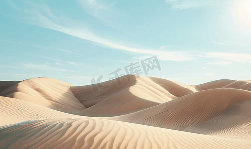 沙漠海滩沙丘在刮风的日子