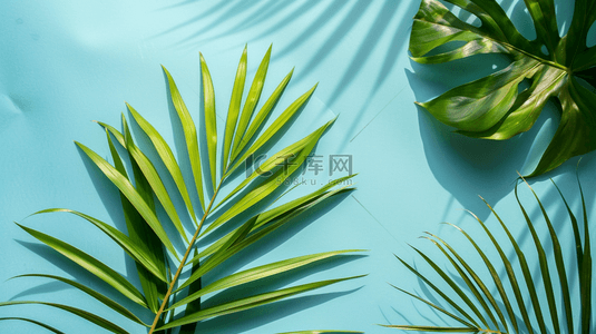 植物树叶纹理背景图片_简约场景植物树叶叶片纹理的背景