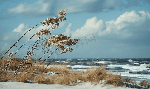 卡通奥特曼摄影照片_奥尔良海滩海岸刮起强风