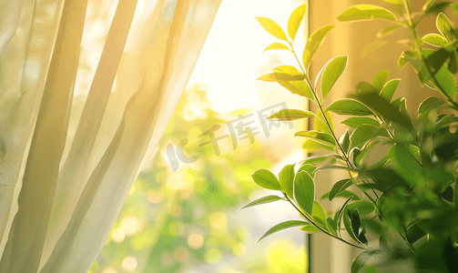 窗帘与绿色花园抽象模糊背景