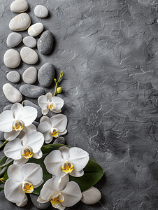 边框女神节摄影照片_灰色背景禅宗水疗美容设计复制空间上的兰花和石头花卉边框