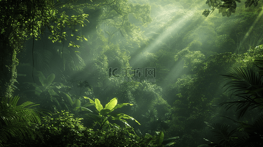 qq原始表情背景图片_天气阳光照射到原始森林树木上背景