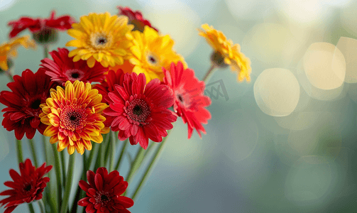 一束红色和黄色非洲菊花朵的垂直拍摄