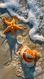 夏日海岸海滩波浪海螺贝壳海景背景
