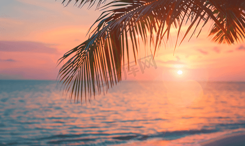 海上日落热带海滩上有椰子棕榈树橙色柔和的天空