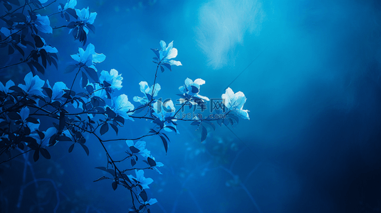 蓝色场景树枝花朵的背景
