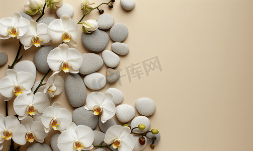 白色兰花和鹅卵石平铺花卉米色背景带复制空间