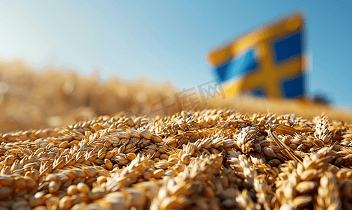 工业价格摄影照片_瑞典关于谷物小麦贸易出口和经济概念