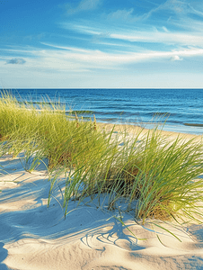 红色小五角星摄影照片_美丽的科德角海滩与流动的海滩草