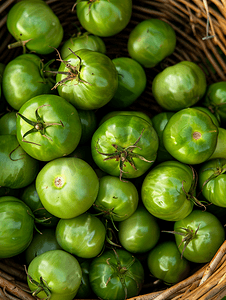 有机宅基地花园自产蔬菜食品背景收获的绿色西红柿