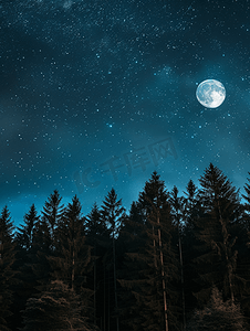 黄昏风景摄影照片_夜风景在有满月和星星的森林里