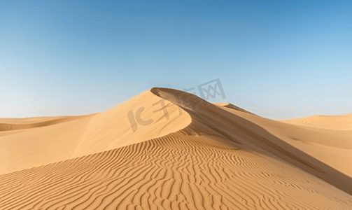 沙漠海滩沙丘在刮风的日子