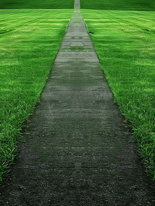 绿色通道摄影照片_绿色草坪中间的跑步路