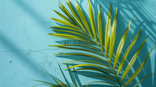 植物树叶纹理背景图片_简约场景植物树叶叶片纹理的背景