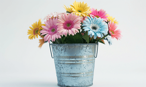 美丽的花在一个桶里孤立在白色