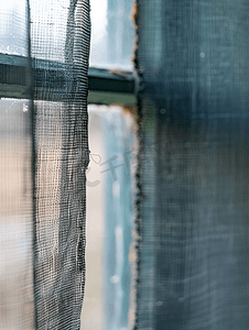 房屋窗户上损坏的蚊帐丝网防虫