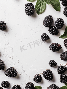 新鲜采摘的黑莓水果背景垂直框架
