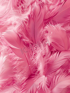 时尚背景的粉色羽毛墙