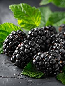 黑莓果实在树枝上食物背景成熟的黑莓特写