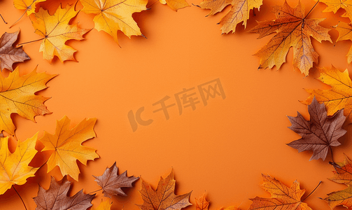 橙色纸背景上美丽明亮的秋叶带复制空间