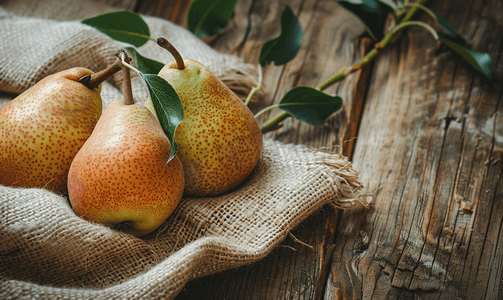 成熟的梨果在木桌上的粗麻布上收获的有机梨秋收
