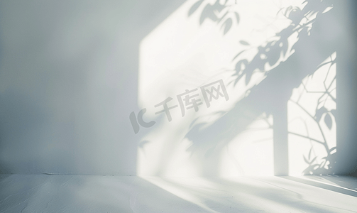 抽象太阳摄影照片_白墙背景上的抽象阴影滴
