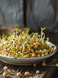 发芽的食物在质朴的木质背景上盘子里放着发芽的豆子宏观营养学