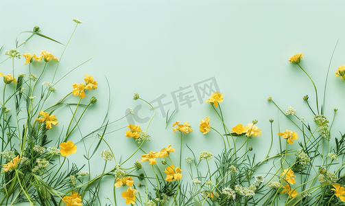 舞池平面摄影照片_浅绿色背景上柔和的绿草和黄色花朵最小顶视图平躺