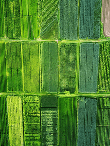 植物包裹摄影照片_空地等待种植的绿色农田航拍照片